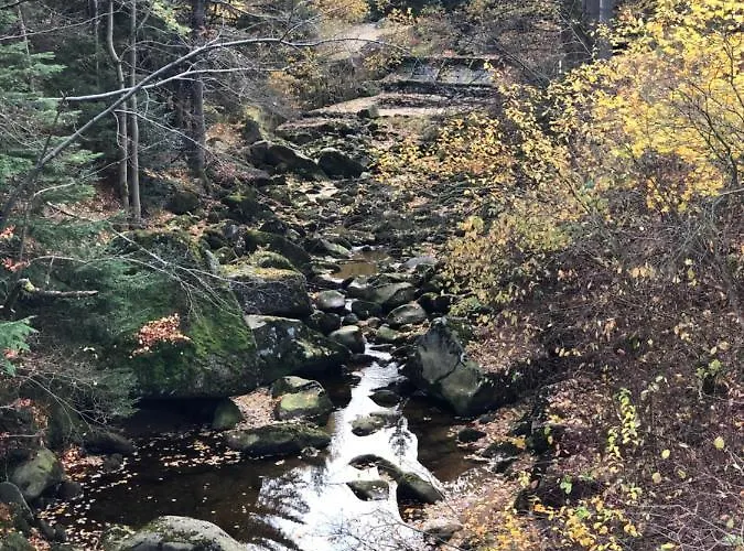 Apartament Patryk Apartment Schreiberhau